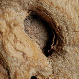 Holz2(c)R.Wolf Lemgo