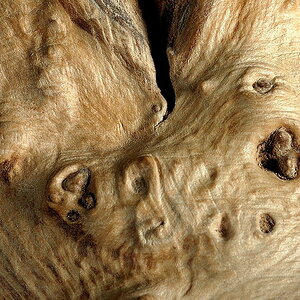 Holz3(c)R.Wolf Lemgo