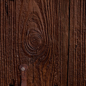 Holz