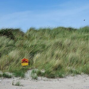 X 0108 Irland 2011 dune
