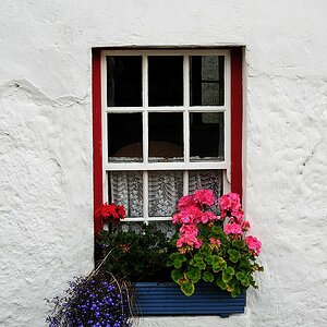 X 0167 Irland 2011 window and flowers