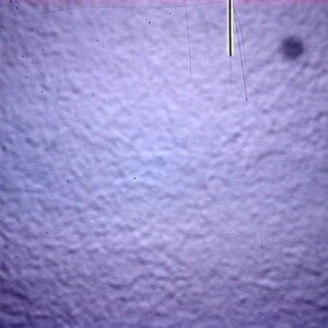 So sehen die Kratzer auf dem AA-Filter meiner D200 aus, wenn man eine weisse Wand bei 50mm mit f/32 fotografiert und das Bild danach mit maximalem Kon