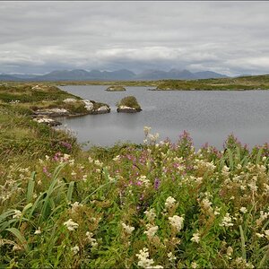comp Irland2 388b