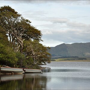 comp Irland2 431b