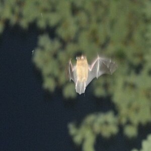 DSC 5536 web crop