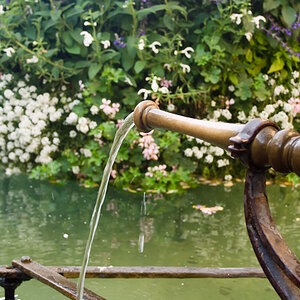 20110820 DSC 8238