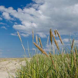 Skagen