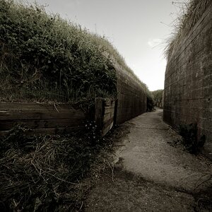 Bunker