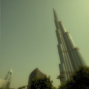 DSC 4368 01