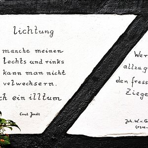 17.09.2011 - Hattingen - Lichtung