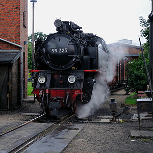 20110806 10 Molli Doberan