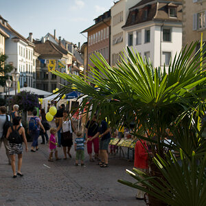 20110820 DSC 8228
