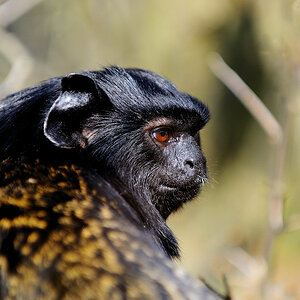 20110402 07 Zoo Rostock