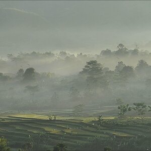 acomp indonesia 20110604 00097