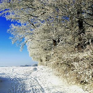winter 001