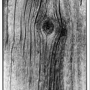 Holzstruktur