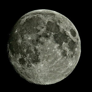 Mond