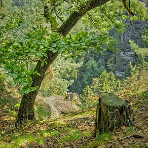 20110803 4971 [NIKON D5100] 24 mm,1 160 Sek. bei ƒ   7,1 Bearbeitet