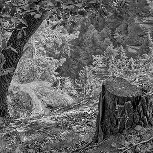 20110803 4971 [NIKON D5100] 24 mm,1 160 Sek. bei ƒ   7,1 Bearbeitet 2