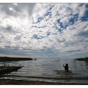 unsere bucht 10
