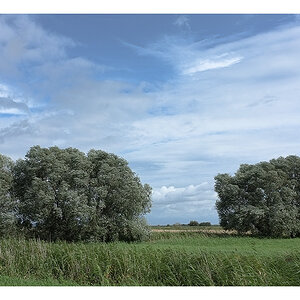 wolin 2011 1