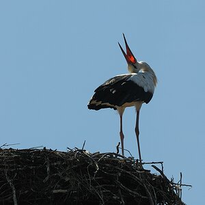 aacomp DSC 2837