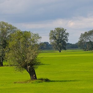 aacomp DSC 2448