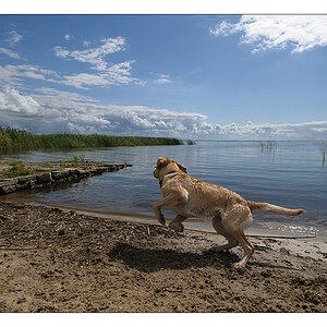 und ab ins Wasser