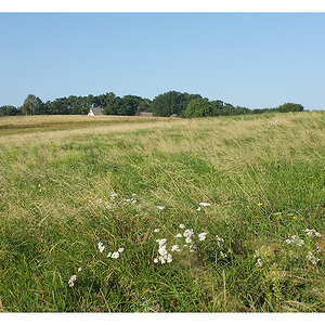 Usedom 2011