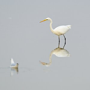 20110902 6073 [NIKON D7000] 600 mm,1 100 Sek. bei ƒ   5,6