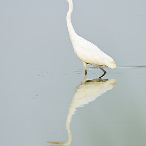 20110902 6103 [NIKON D7000] 600 mm,1 60 Sek. bei ƒ   5,6