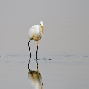 20110902 6128 [NIKON D7000] 600 mm,1 60 Sek. bei ƒ   5,6