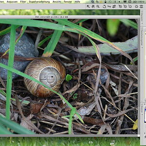CNX Hilfestellungen - Auswahlkontrollpunkte