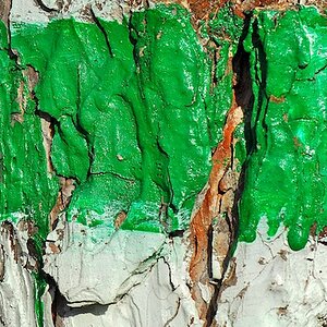 Baummarkierung