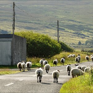 comp Irland2 589b