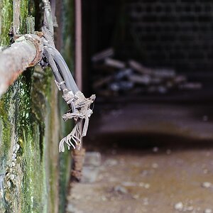 20110917 0335 [NIKON D3] 70 mm,1 60 Sek. bei ƒ   2,8