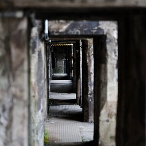 20110917 0333 [NIKON D3] 116 mm,1 60 Sek. bei ƒ   2,8