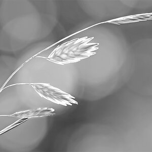 20110831 106 sw