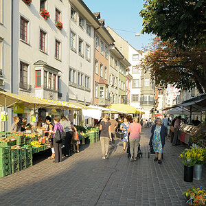 Schaffhausen 31