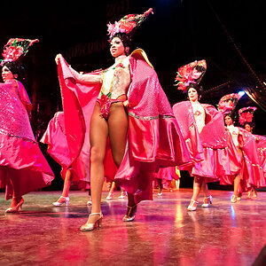 2011 Tropicana 7