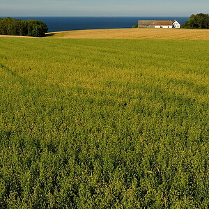 DSC6741 NF-F
Landschaft bei Gudhjem