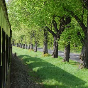 Schöne Allee kurz vor der Rennbahn (DSC 3478X)