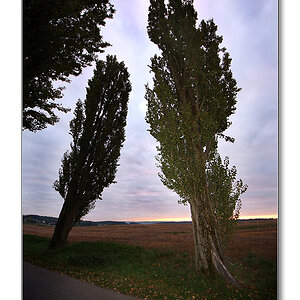 2011 herbst10