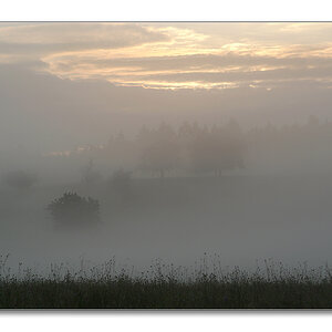 2011 herbst14
