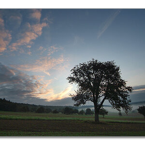 2011 herbst12b