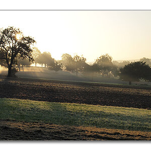 2011 herbst1