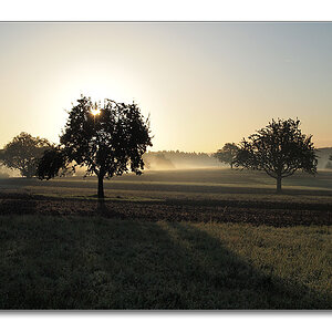 2011 herbst2