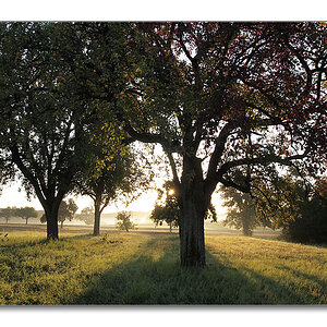 2011 herbst3