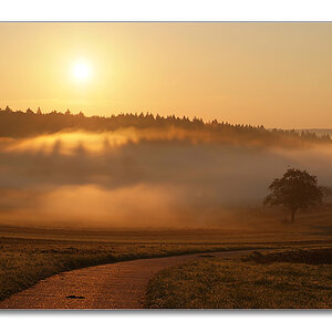 2011 herbst4