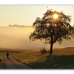 2011 herbst6